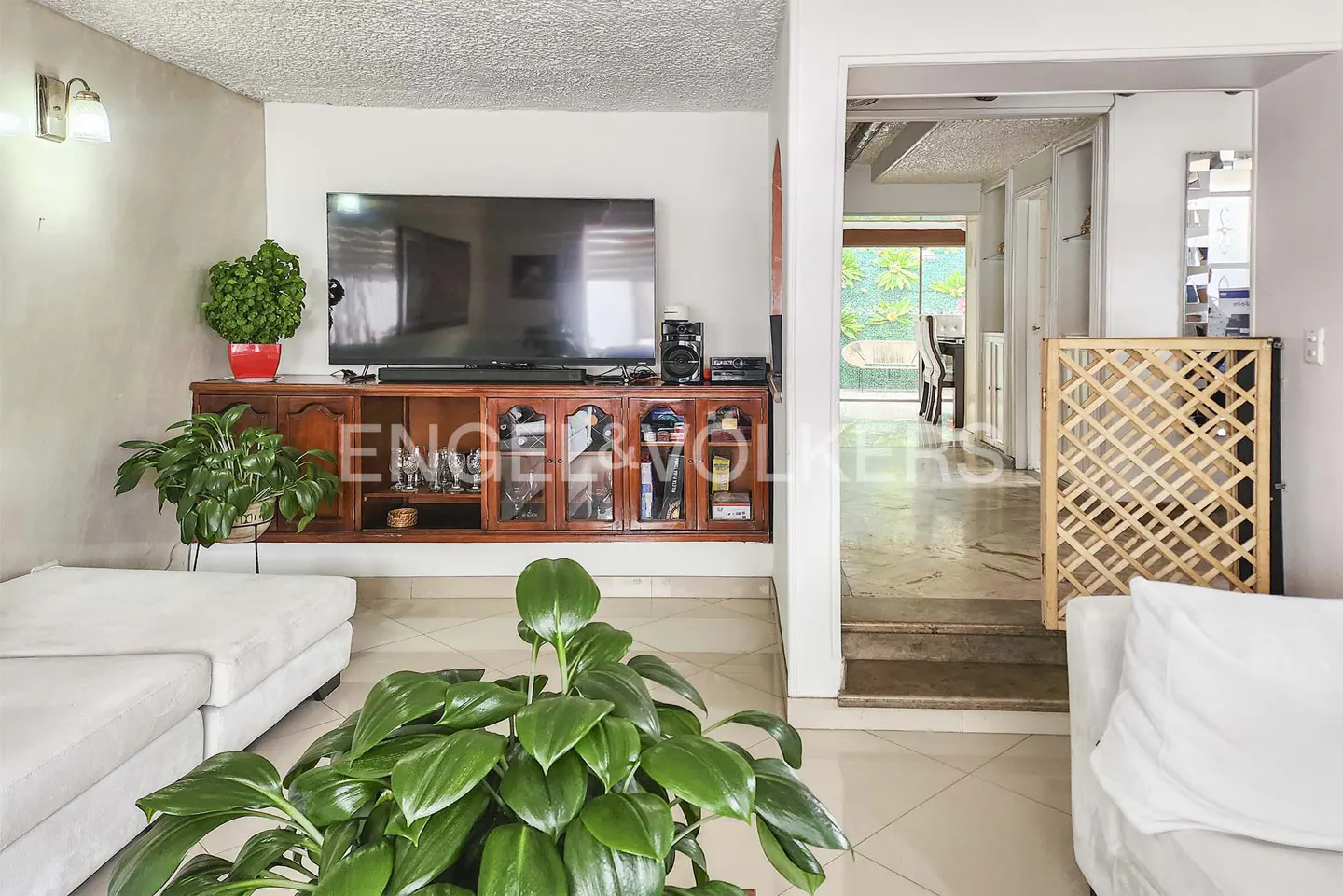 Living room with a TV on a wooden cabinet, white sofa, and green plants. A doorway leads to another room with a dining table.
