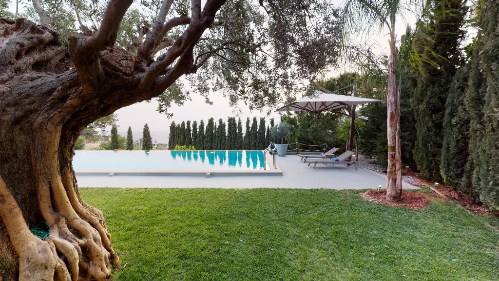 A backyard with a pool, green grass, and trees. Two lounge chairs sit under an umbrella.