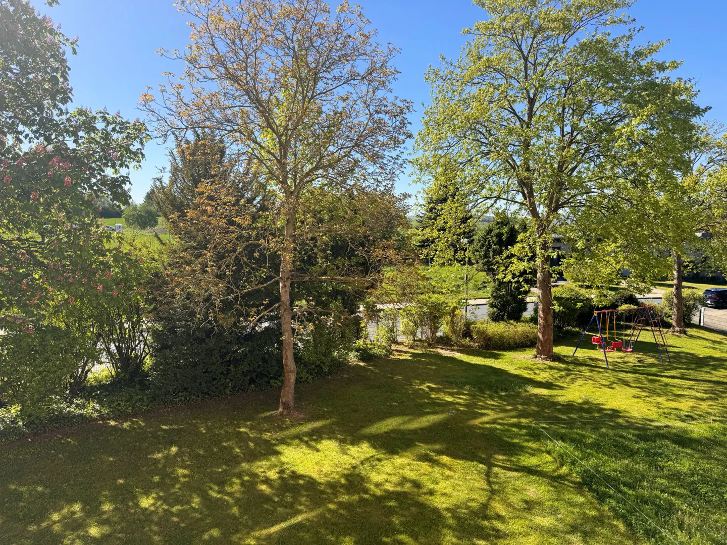 A sunny backyard with green grass, trees, and a red swing set under a clear blue sky.