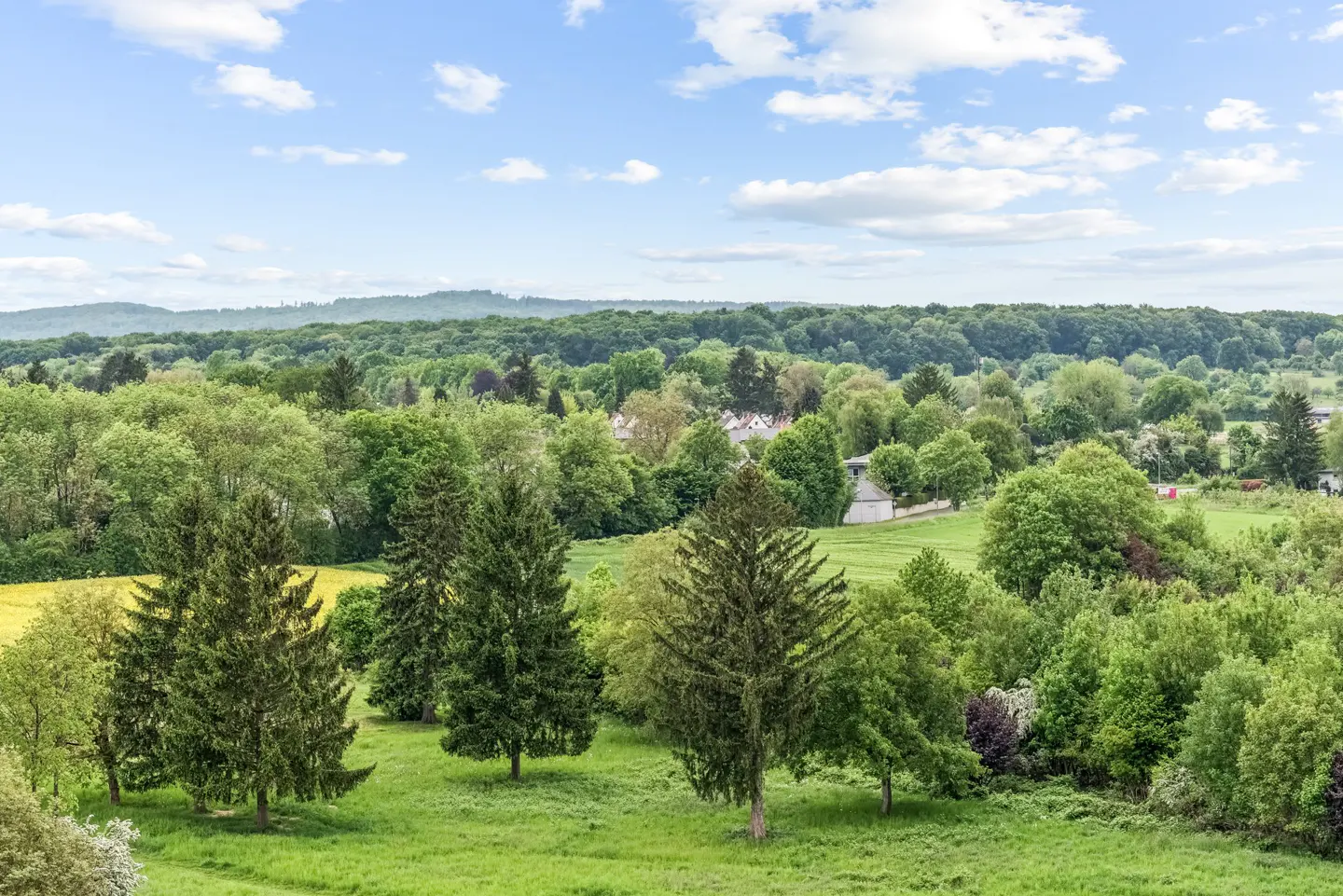 Scenic view of lush green landscape with trees, grass, and a blue sky with white clouds.