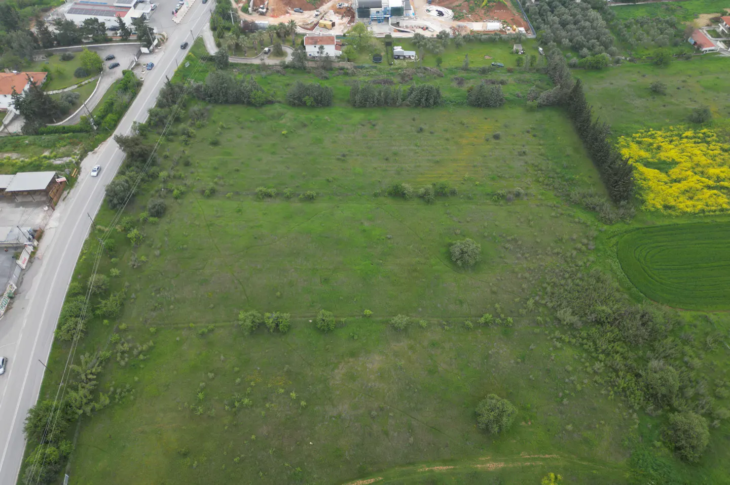 Aerial view of a large, green vacant lot with scattered trees, bordered by a road with cars and buildings in the distance.