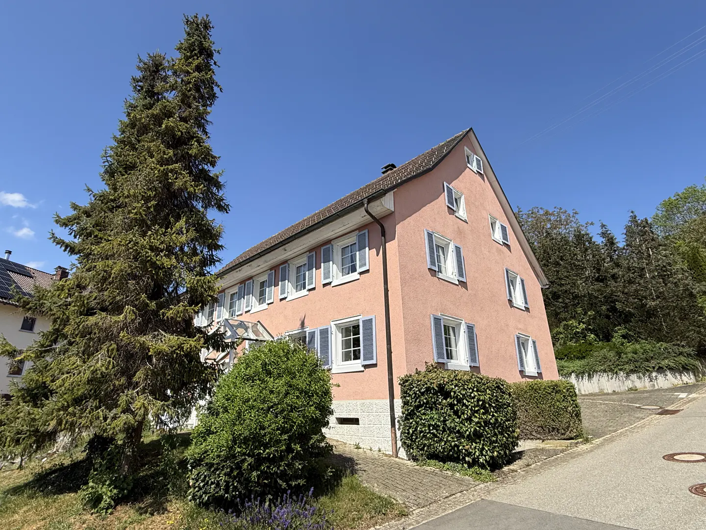 A three-story pink house with blue shutters, a large evergreen tree, and green bushes under a clear blue sky.