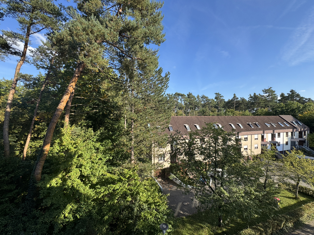Charmante 3,5-Zimmer-Wohnung mit Balkon in beliebter Waldstadt-Lage