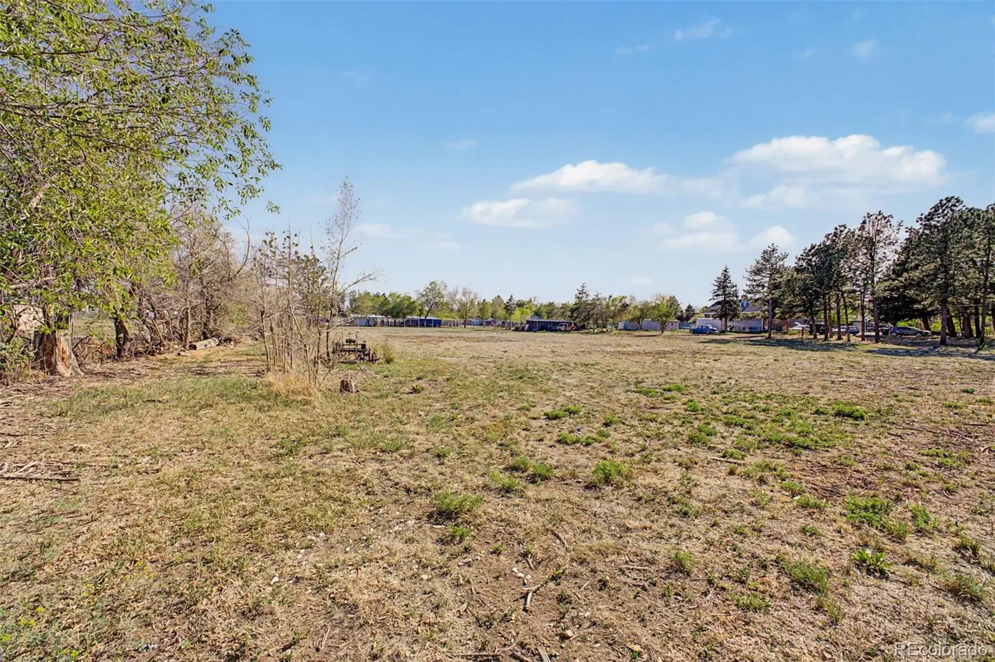 Wide, grassy lot with trees on the perimeter under a blue sky with scattered clouds.