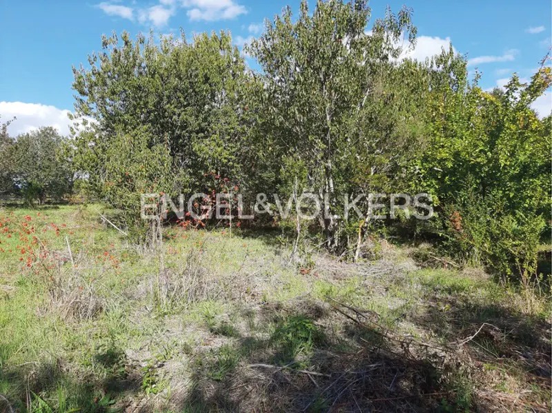 A vacant lot with tall green trees and grass under a blue sky with white clouds. The Engel & Volkers logo is visible in the background.