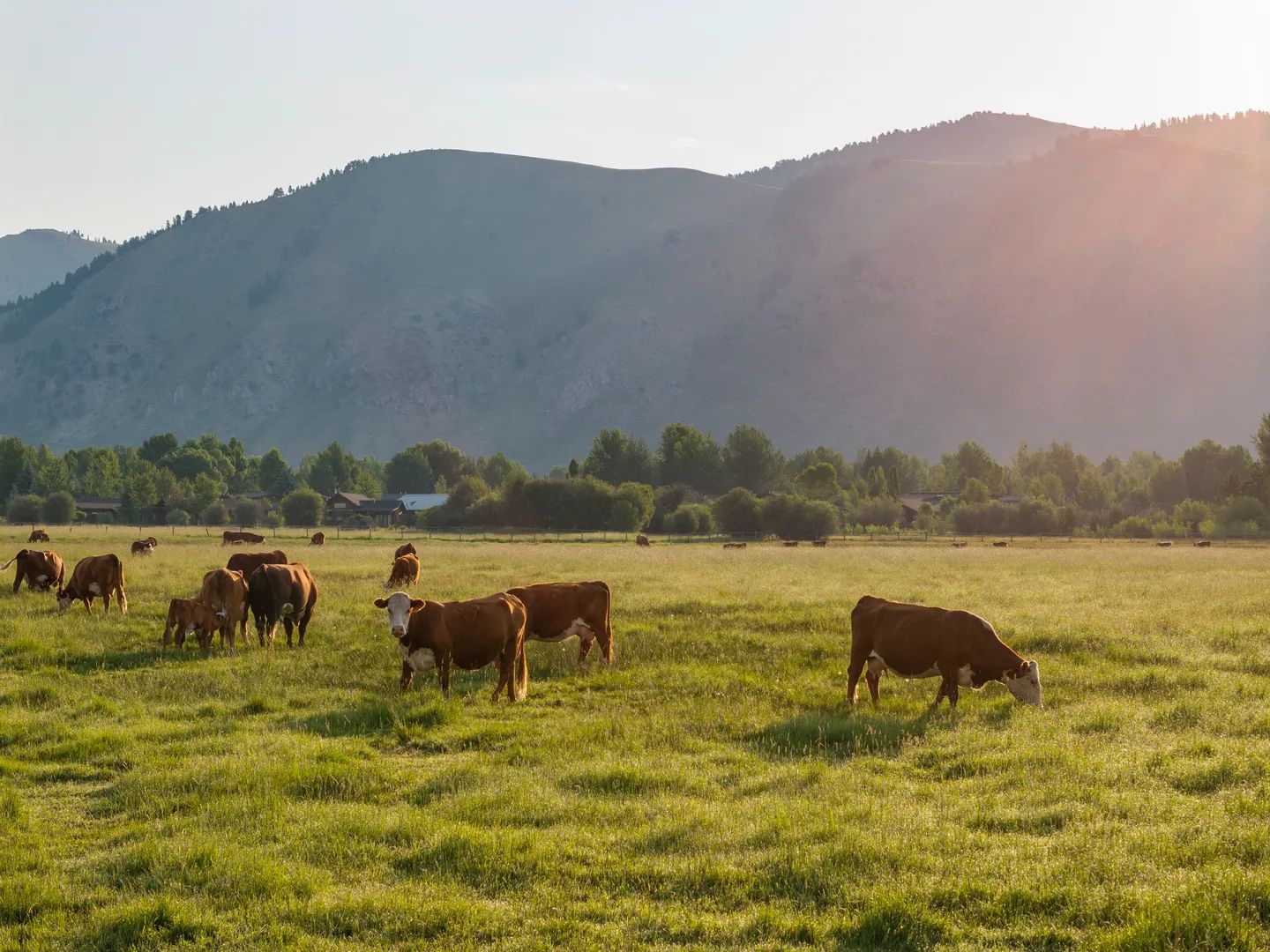 Ultimate Jackson Hole Legacy Property