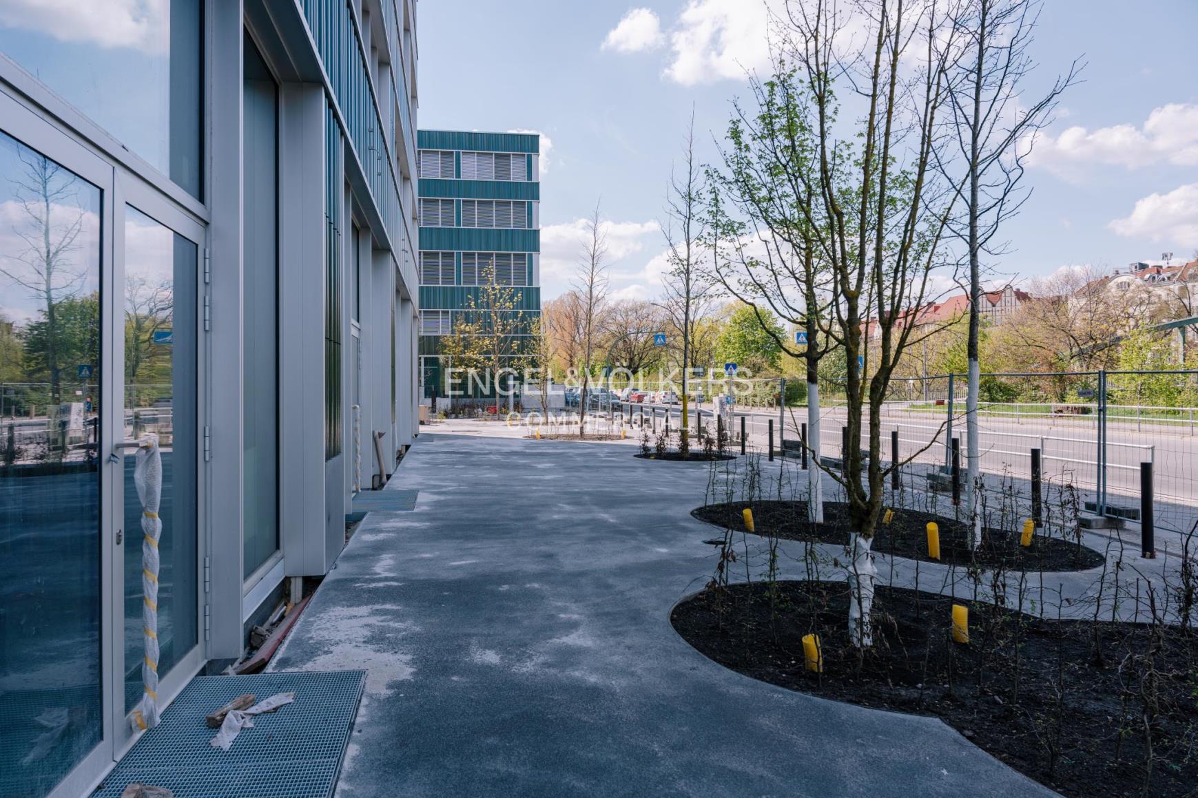 Modern building exterior with glass doors, gray walkway, and young trees with white trunks. Street and building in background.