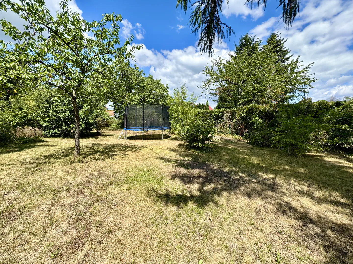 A backyard with a trampoline, trees, and grass under a blue sky with white clouds.