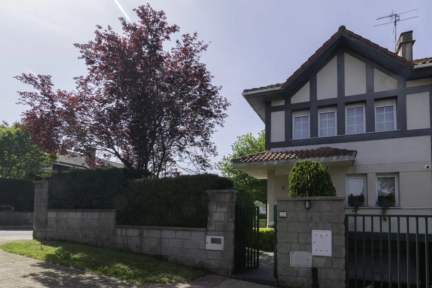 Two-story house with gray trim and a red-leafed tree in the front yard.