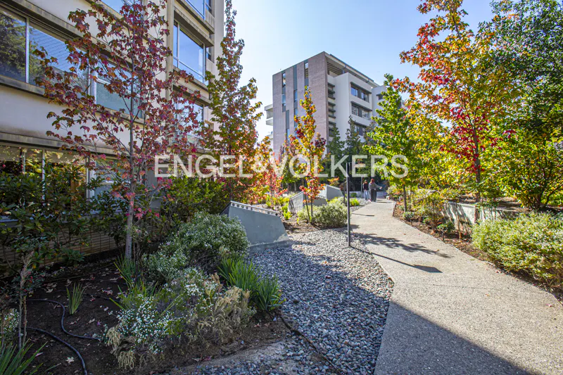 Exterior view of a building with a walkway, trees with red and green leaves, and the Engel & Volkers logo.