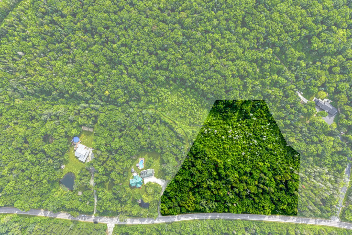 Aerial view of a wooded property lot, bordered by a road, with houses visible in the surrounding area.