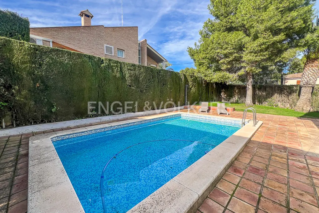 A backyard pool with blue water, surrounded by a brick patio, green lawn, and tall hedges. A house is visible in the background.