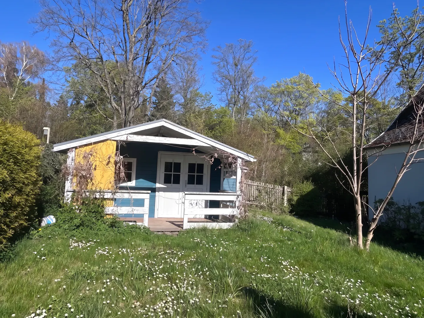 A small, colorful shed with a white porch sits on a grassy hill dotted with daisies. Trees and a blue sky are in the background.