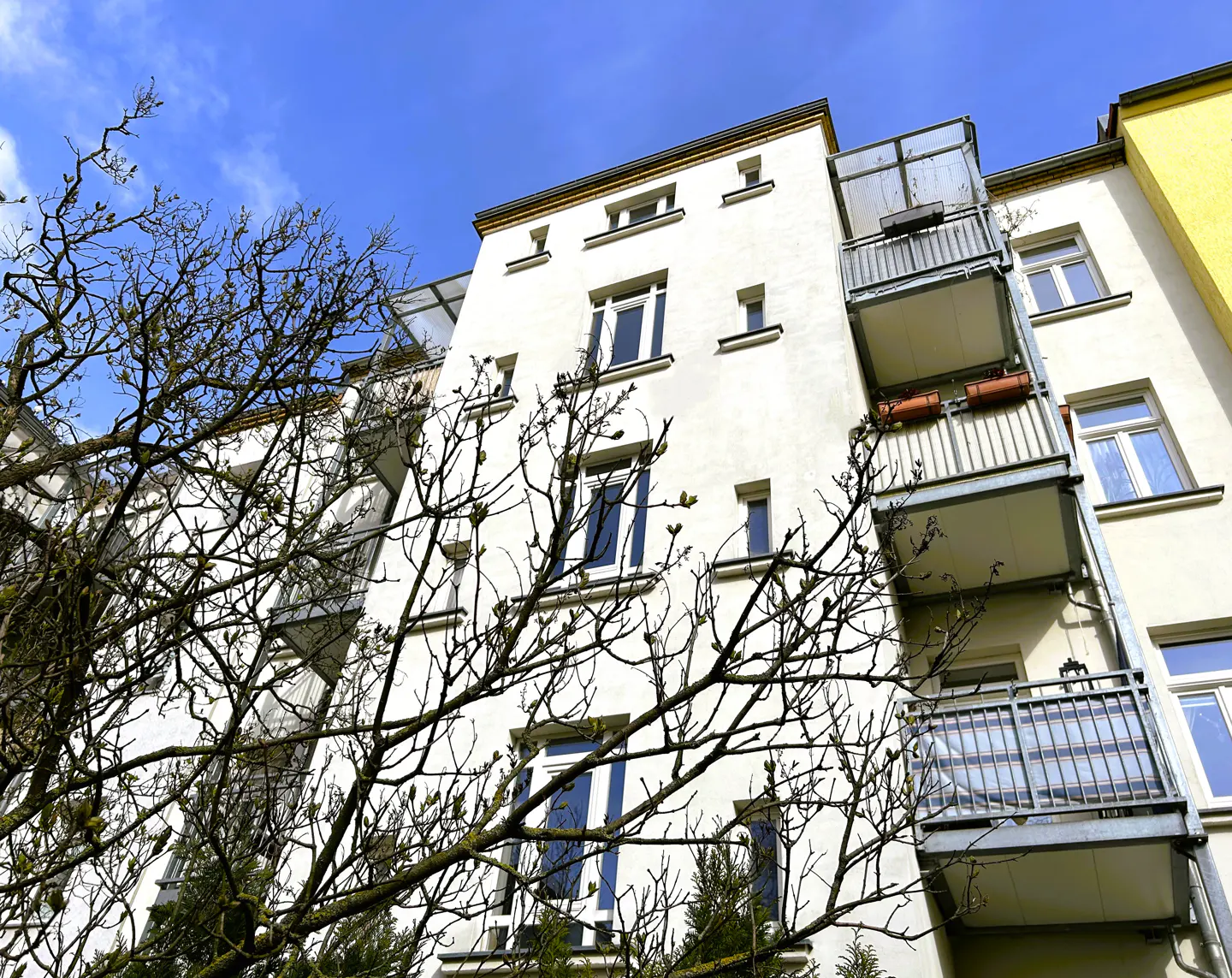 Low angle of a white apartment building with balconies under a blue sky, framed by bare tree branches.