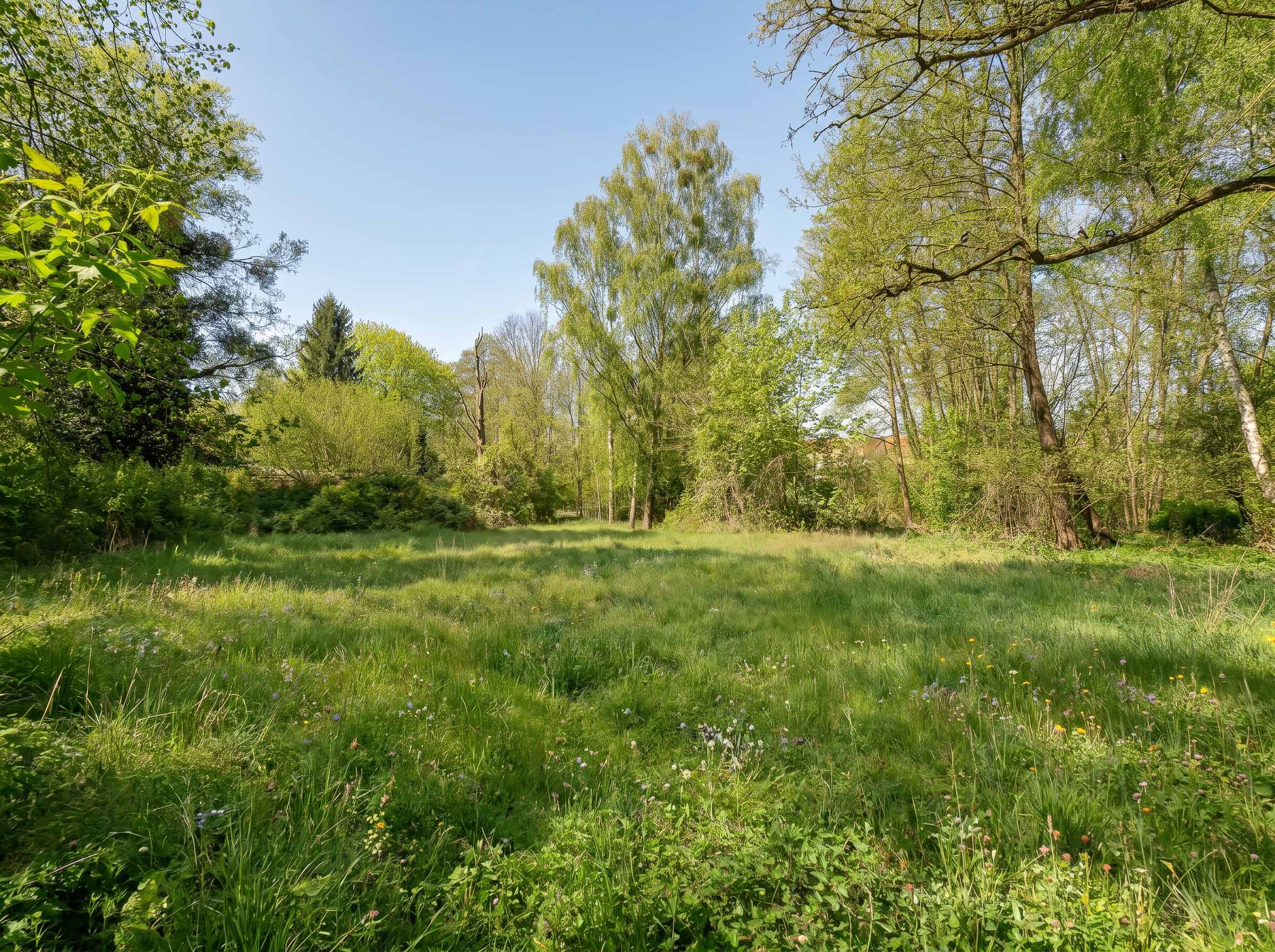 Absolute Rarität - Exklusives Baugrundstück am Dorfplatz Stahnsdorf mit einzigartigem Naturbestand