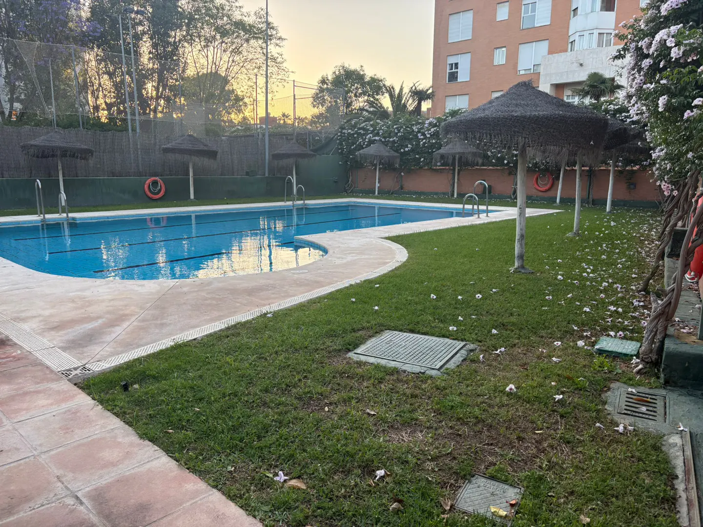 Outdoor pool with blue water, surrounded by green grass, straw umbrellas, and a building in the background.