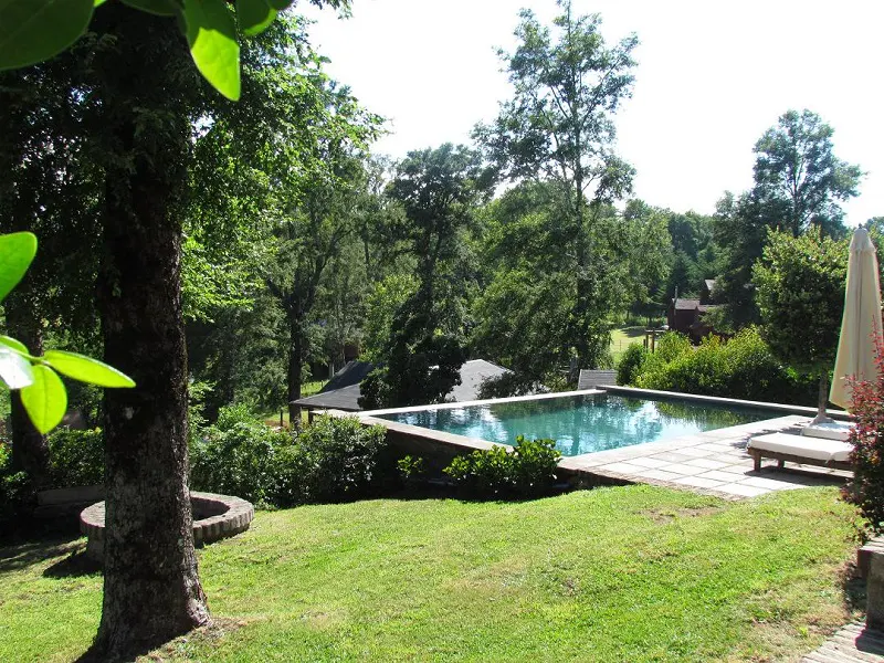 Outdoor pool with lounge chairs and umbrella, surrounded by green grass and trees.