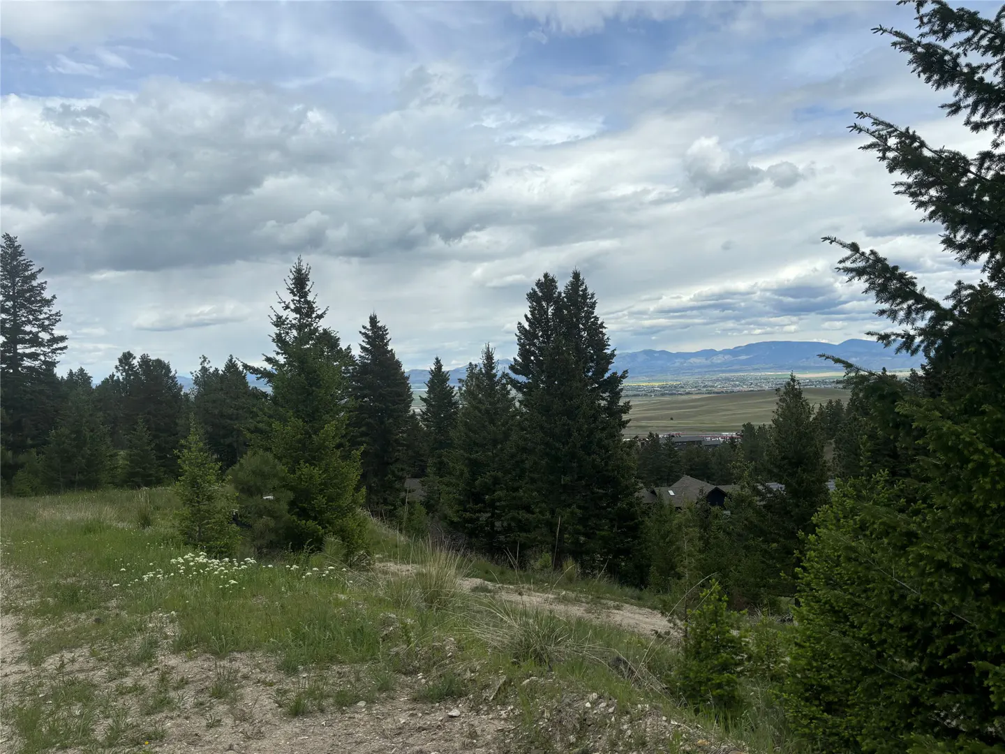 Scenic view of a green hillside with tall pine trees, overlooking a valley with mountains in the distance under a cloudy sky.