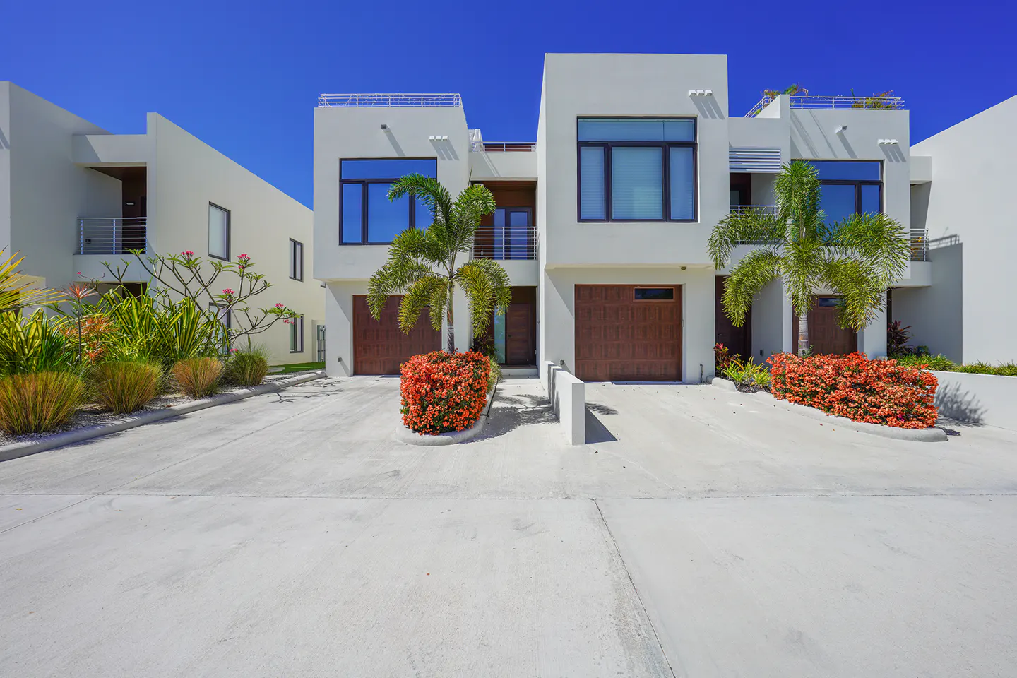 Modern white townhouses with brown garage doors under a clear blue sky. Palm trees and red flowering bushes add color to the landscape.