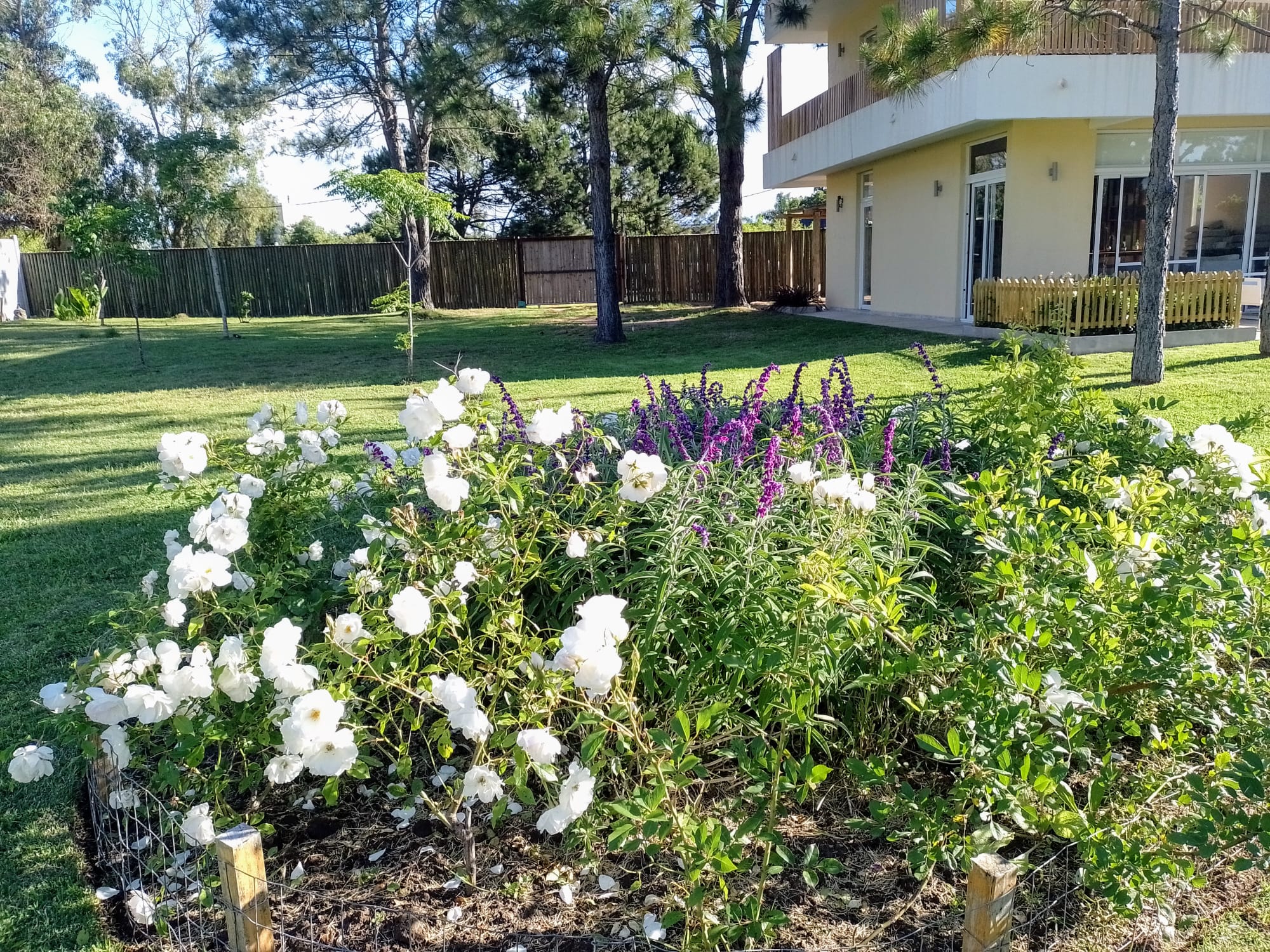 Seasonal rental house in La Barra with heated pool and capacity for 12 people.