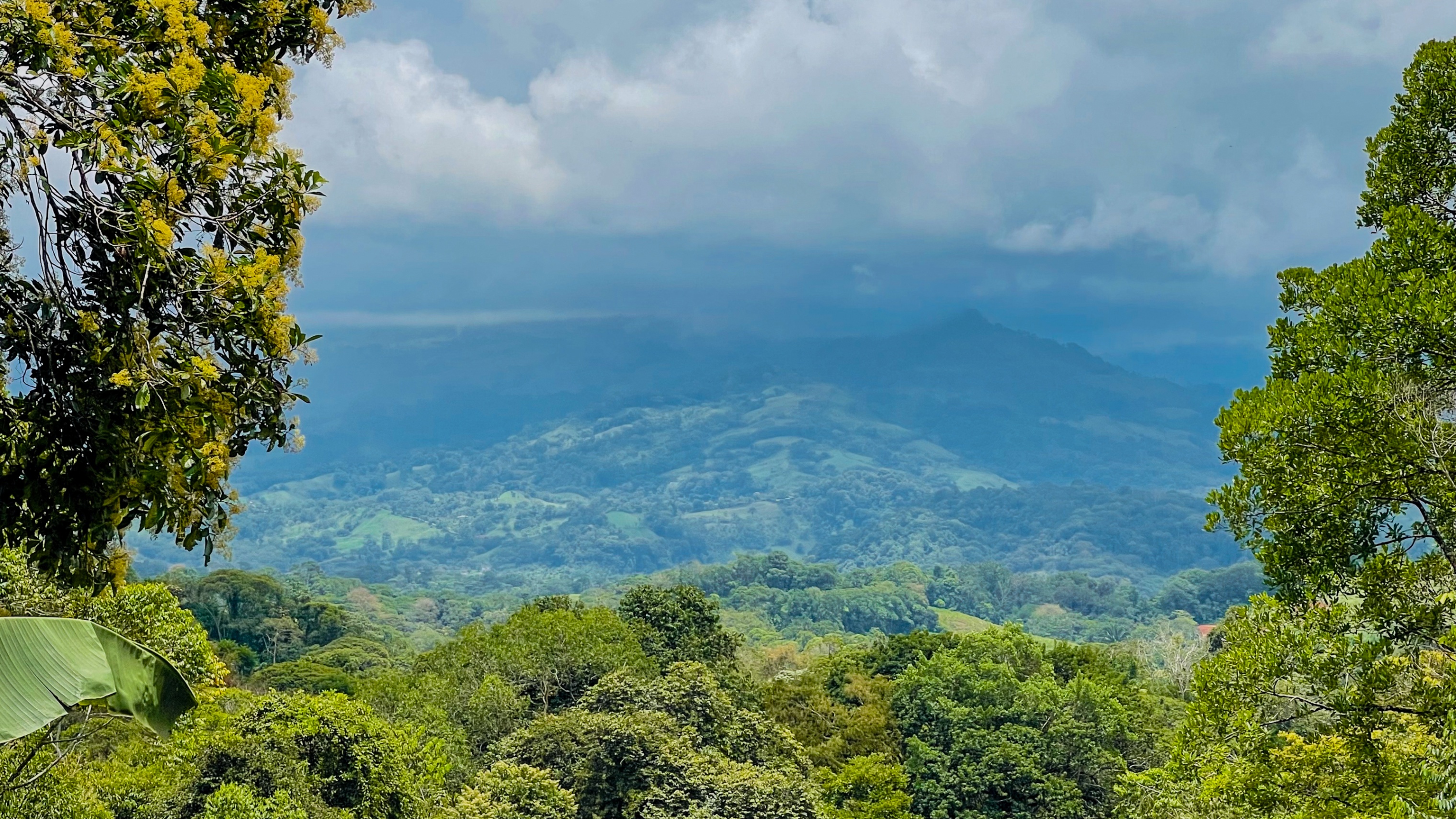 Two-Plantel Mountain Property with Legal Water