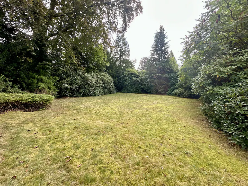 A large, green, grassy lawn surrounded by trees and bushes.