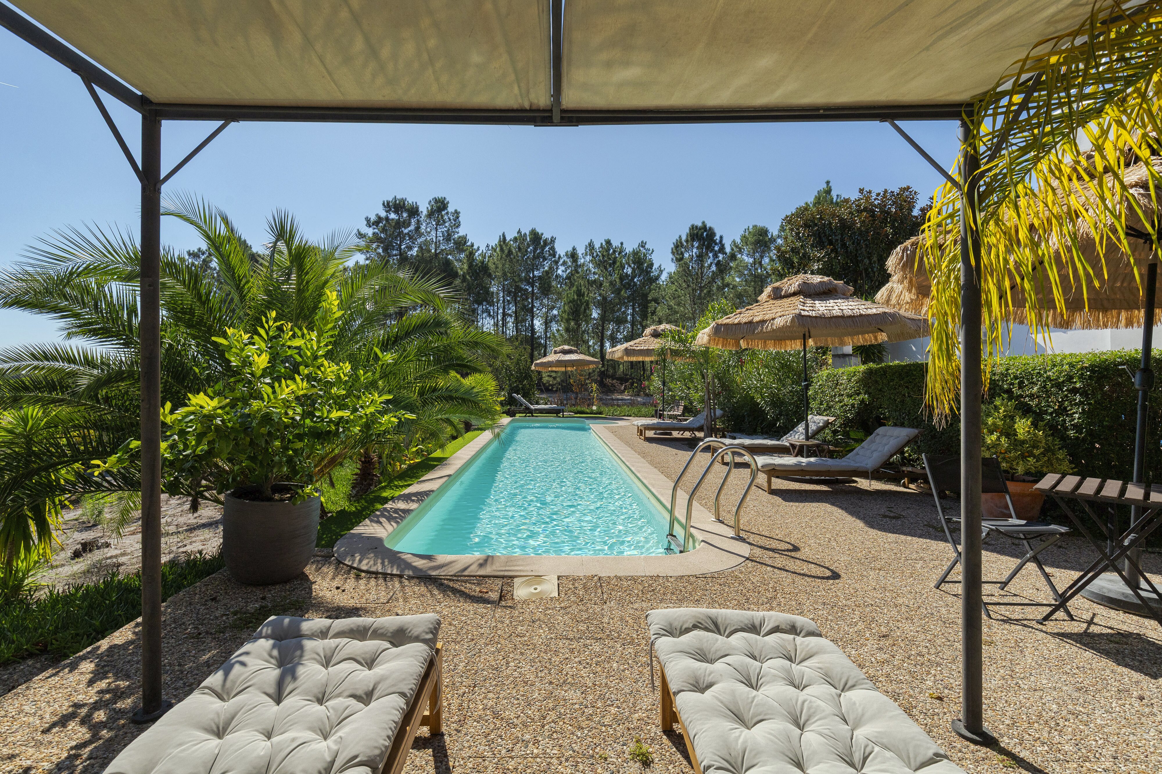 Operating Farmhouse with Tourism in Grândola