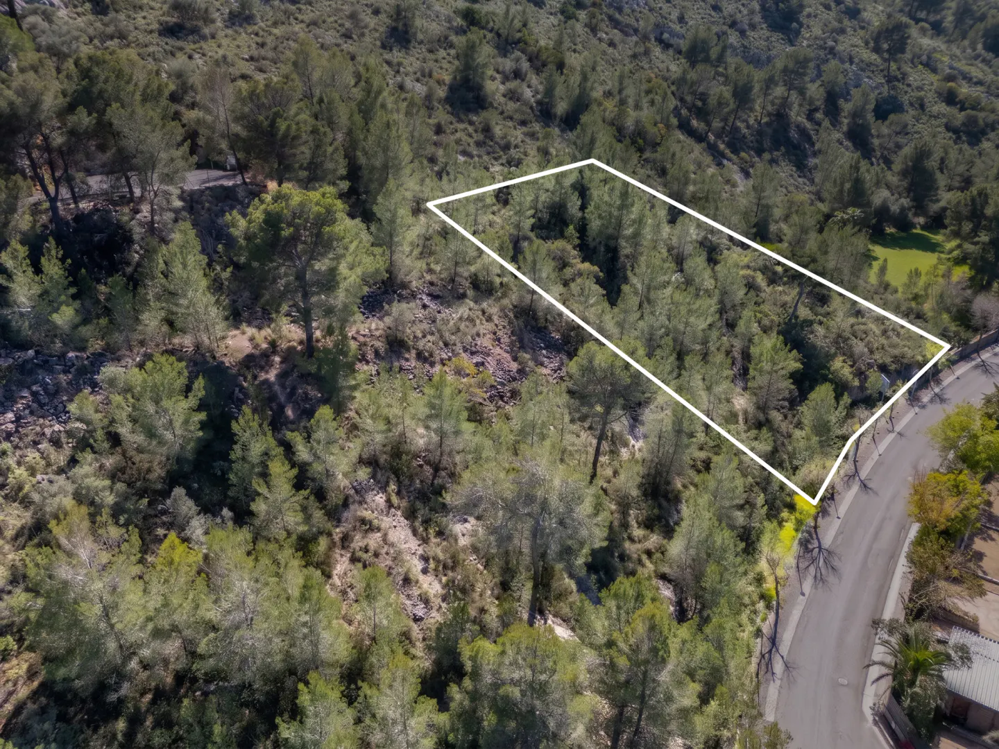 Aerial view of a wooded lot outlined in white, on a hillside near a road.