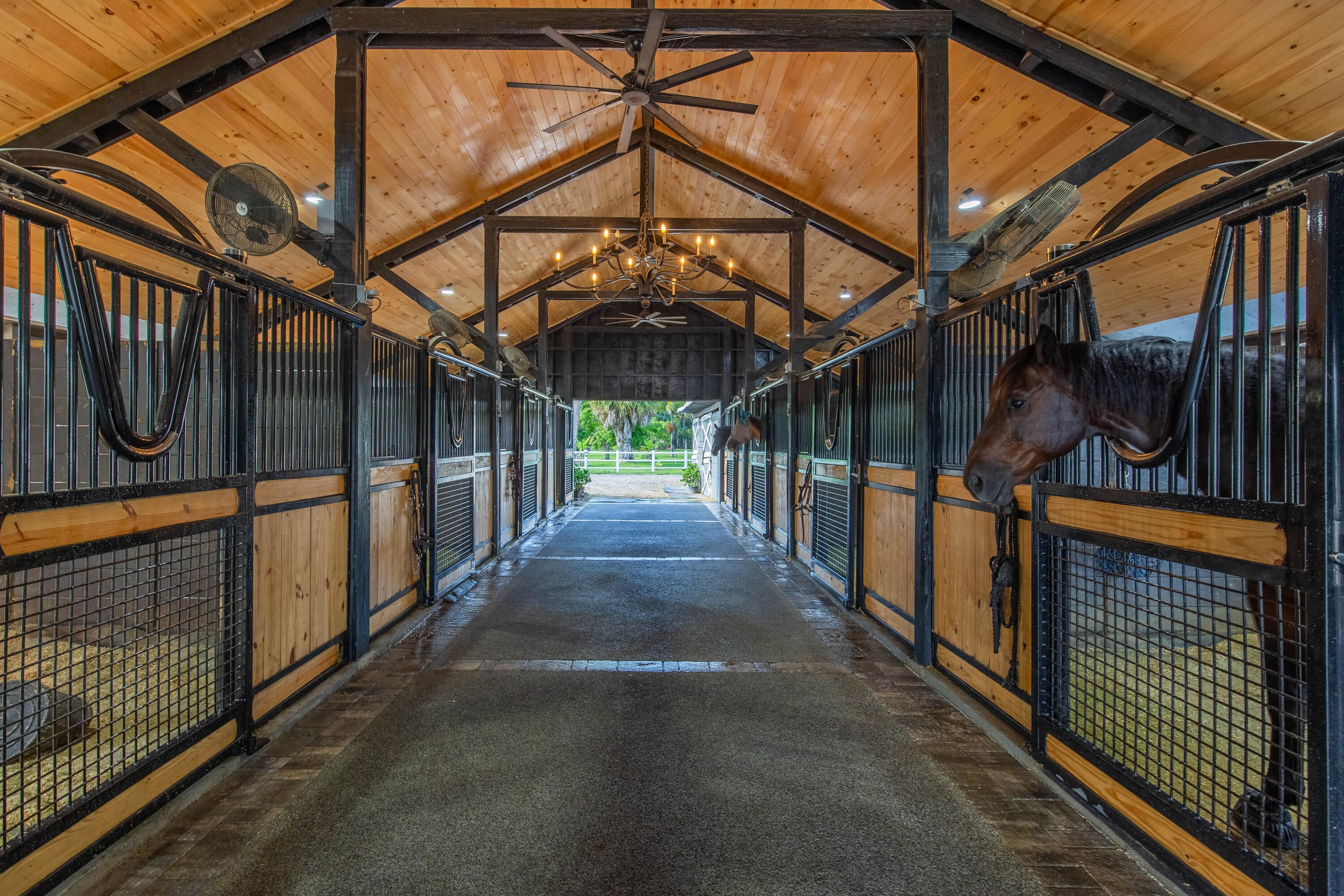 Horse Stalls Available for Lease
