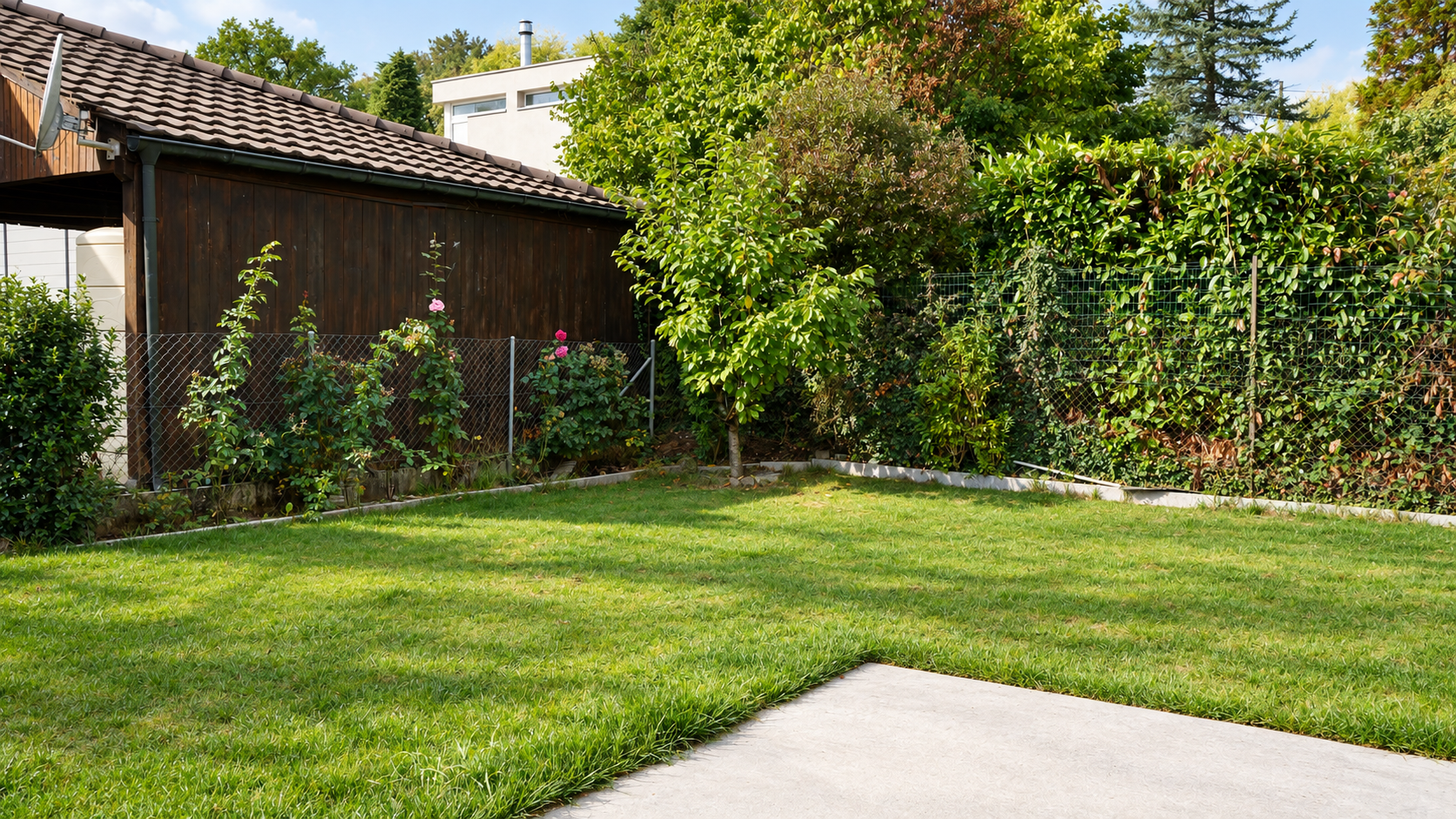 A lush green backyard with a concrete patio, a wooden shed, a chain-link fence, and flowering plants under a sunny sky. [AI-generated text]