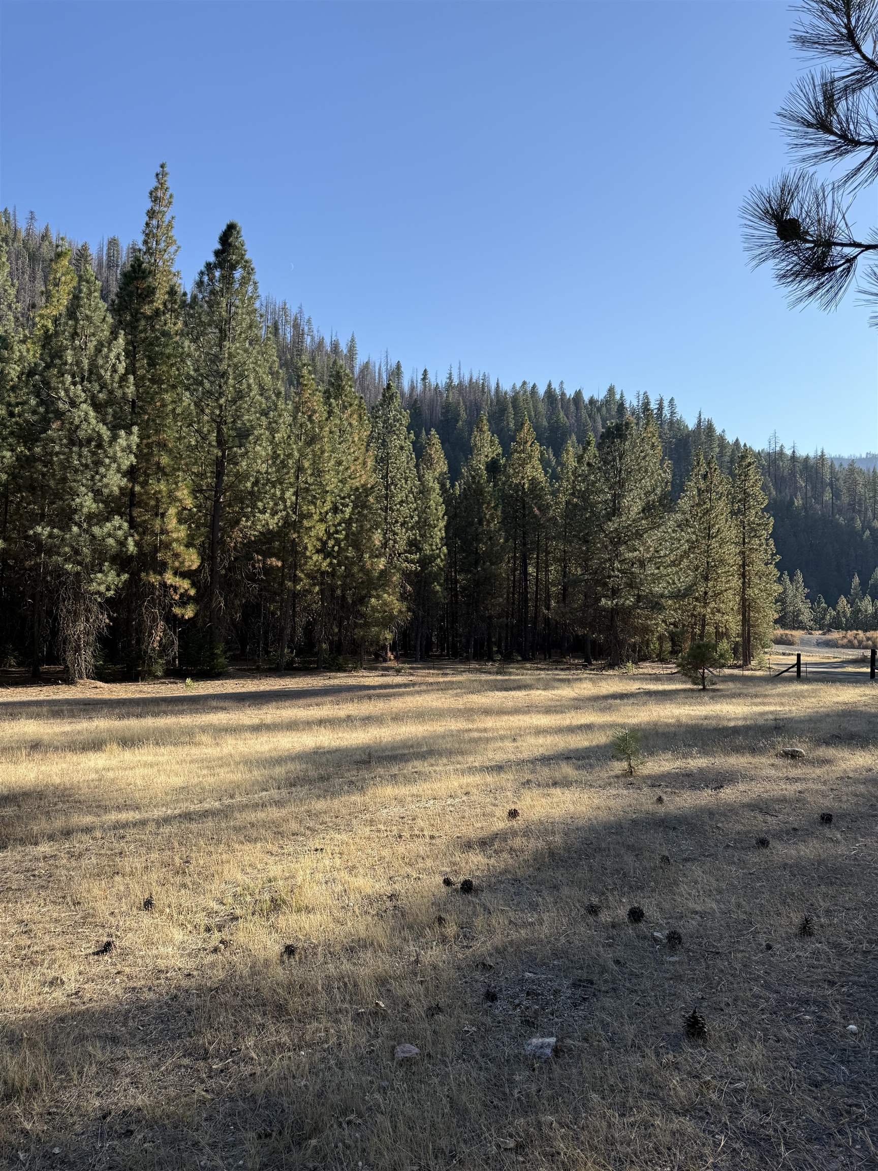 Two Plus Acres Located in the Scenic Feather River Canyon.