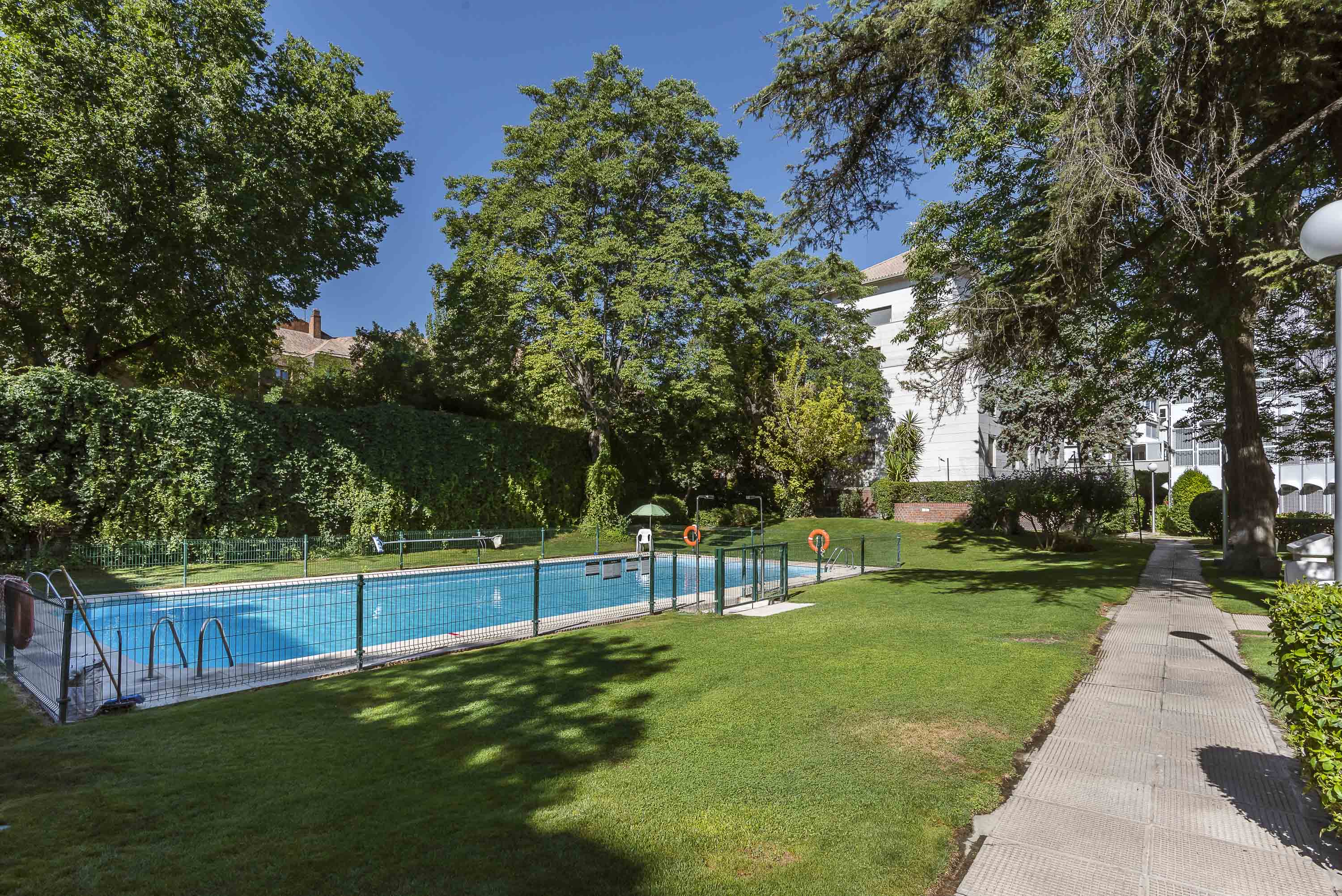 Outdoor swimming pool with blue water, surrounded by a green lawn, tall trees, and a paved walkway under a clear blue sky.