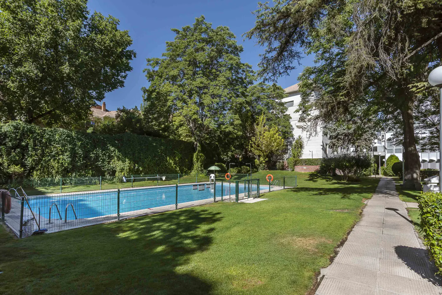 Outdoor swimming pool with blue water, surrounded by a green lawn, tall trees, and a paved walkway under a clear blue sky.