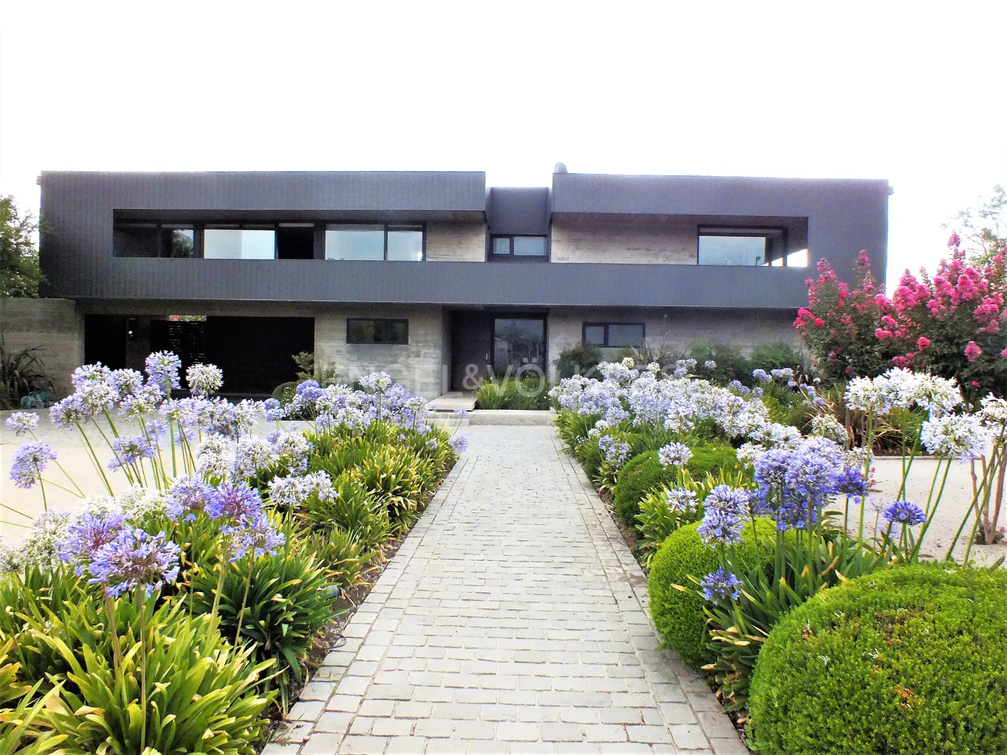 Modern two-story house with a gray facade and a stone walkway lined with purple and white flowers.