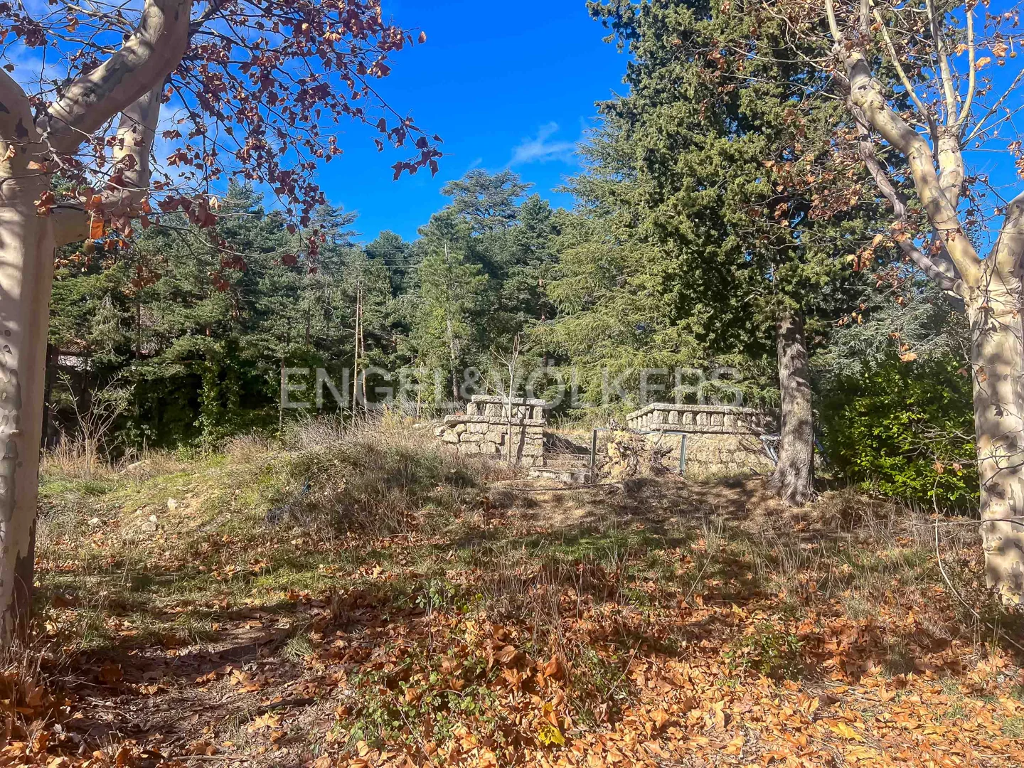 Land with views in Navacerrada