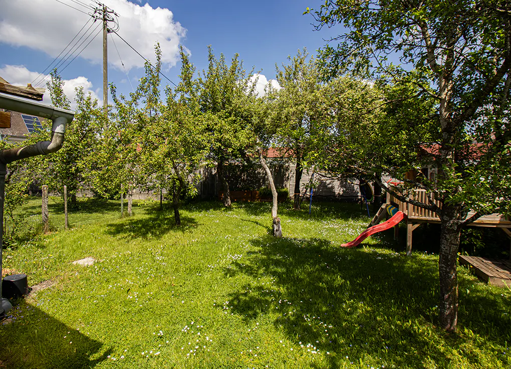 A sunny backyard with a grassy lawn, fruit trees, and a wooden play structure featuring a red slide.