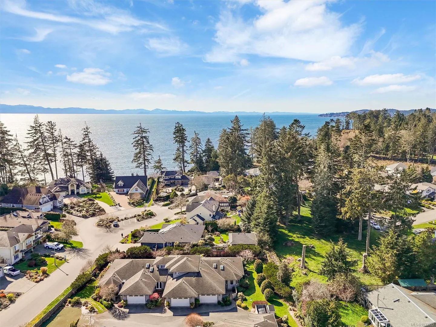 Aerial view of a coastal neighborhood with houses, trees, and the ocean under a blue sky.