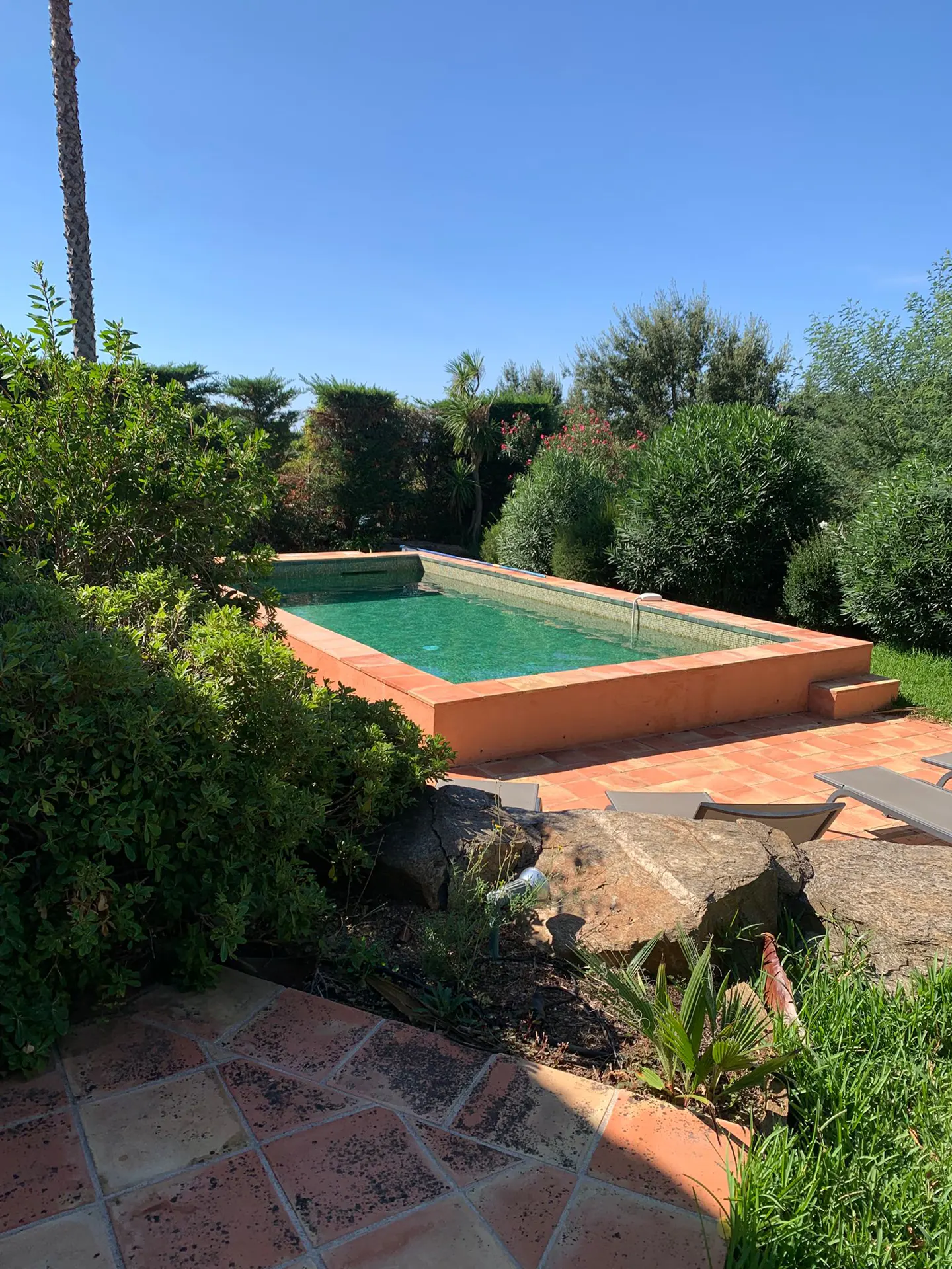 Outdoor pool with orange trim, surrounded by lush green bushes and trees under a clear blue sky.
