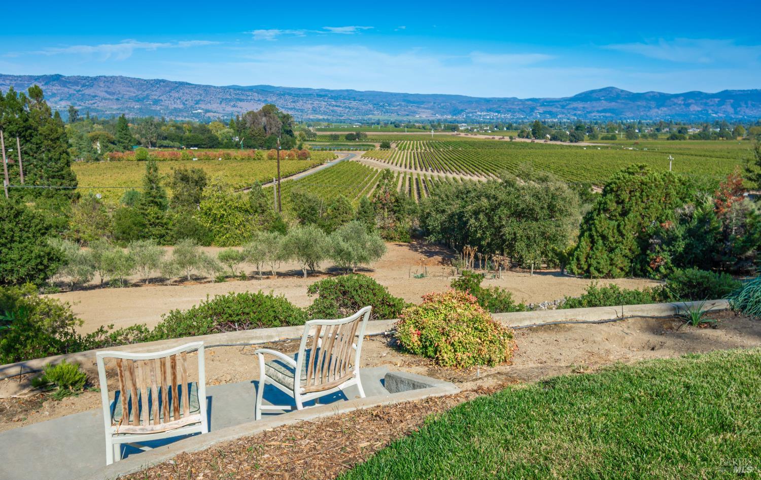 A Private Napa Retreat with Panoramic Views