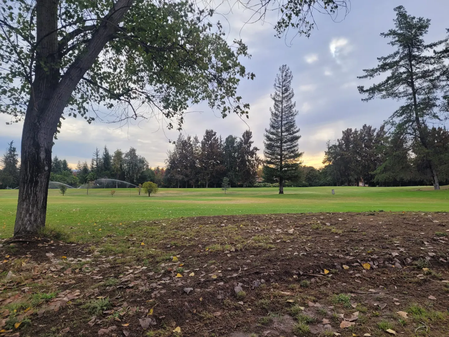 A green golf course with trees and sprinklers under a cloudy sky.
