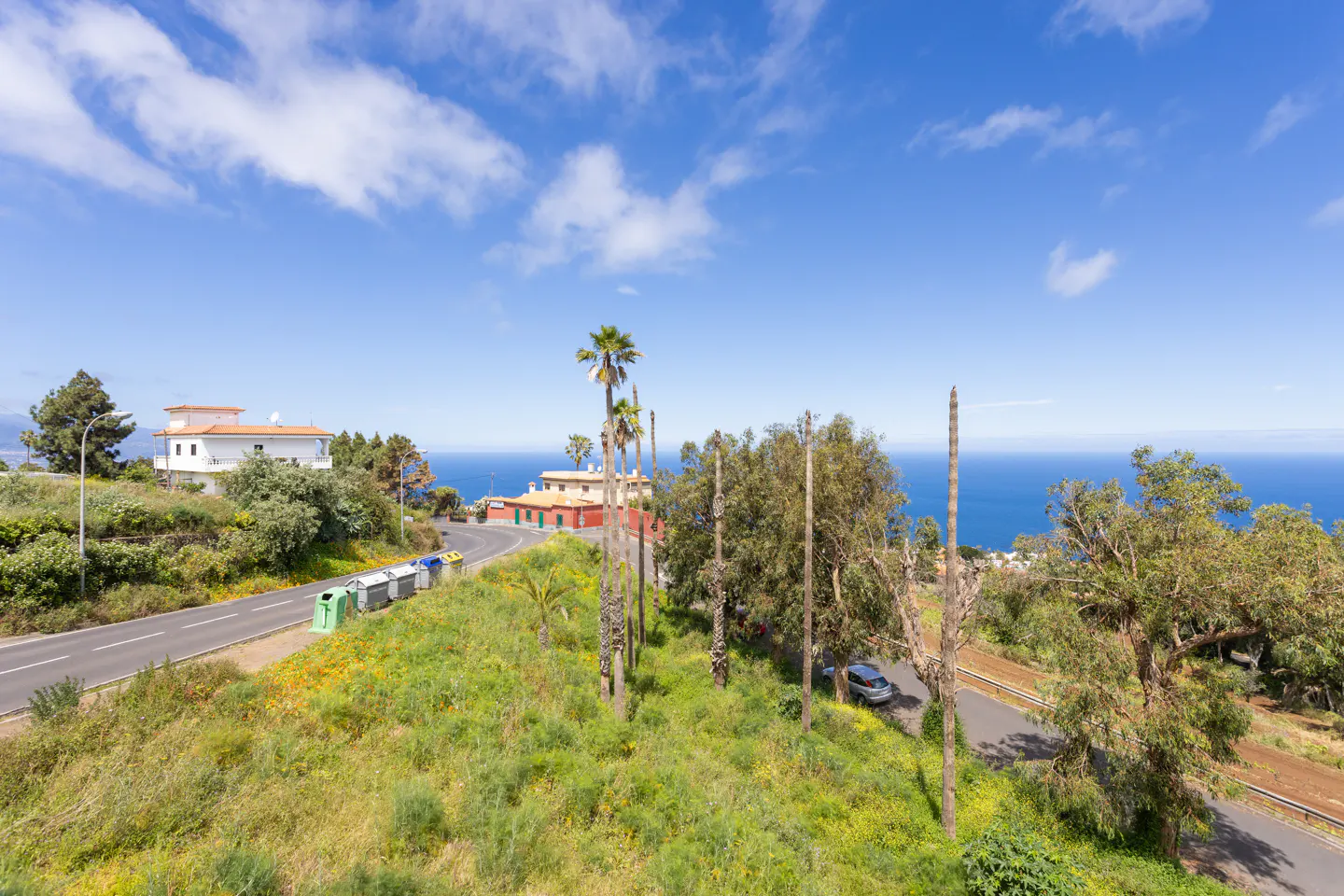 Scenic view of a hillside with lush greenery, palm trees, and houses under a blue sky with scattered clouds, overlooking the ocean.