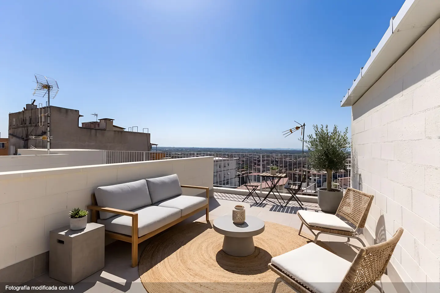 Sunny rooftop terrace with a grey sofa, two woven chairs, a round coffee table, and a potted olive tree under a blue sky.