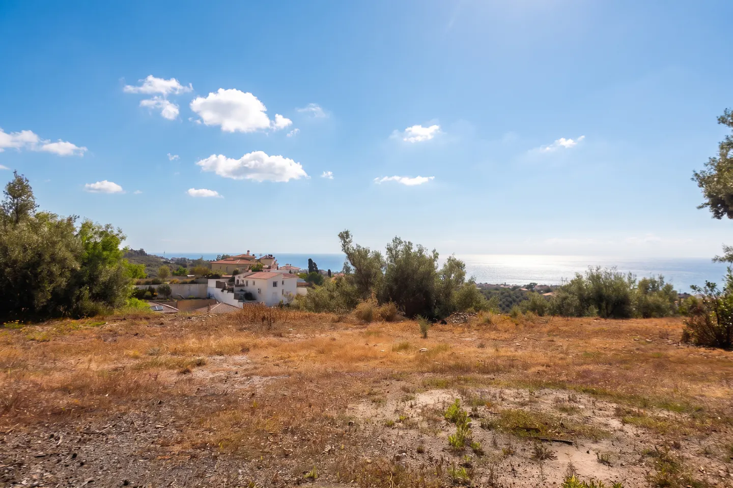 A landscape view of a dry field with houses, trees, and the ocean in the background under a blue sky with white clouds.