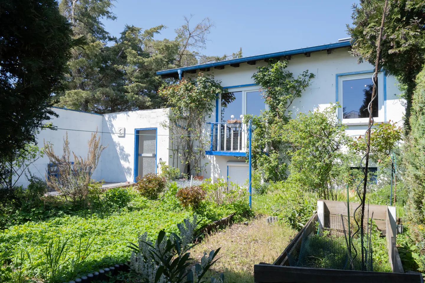 Exterior of a white house with blue trim, surrounded by lush green foliage and a garden.