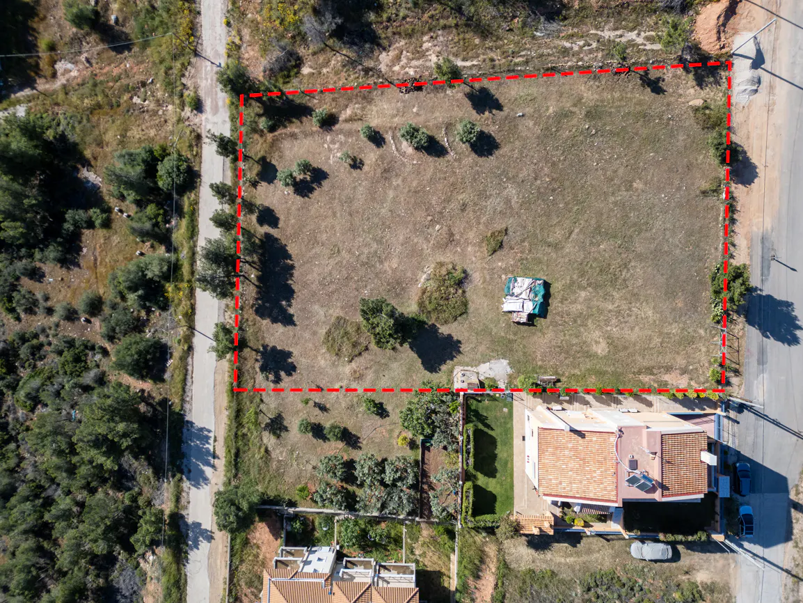 Aerial view of a vacant lot outlined in red, adjacent to a house and road, with scattered trees and vegetation.