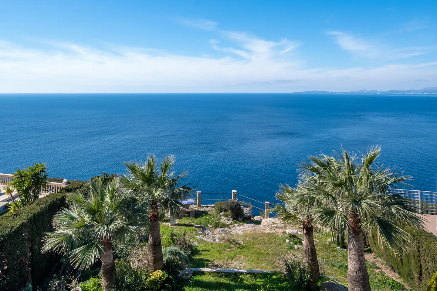 Ocean view from a property with palm trees and green hedges under a blue sky.