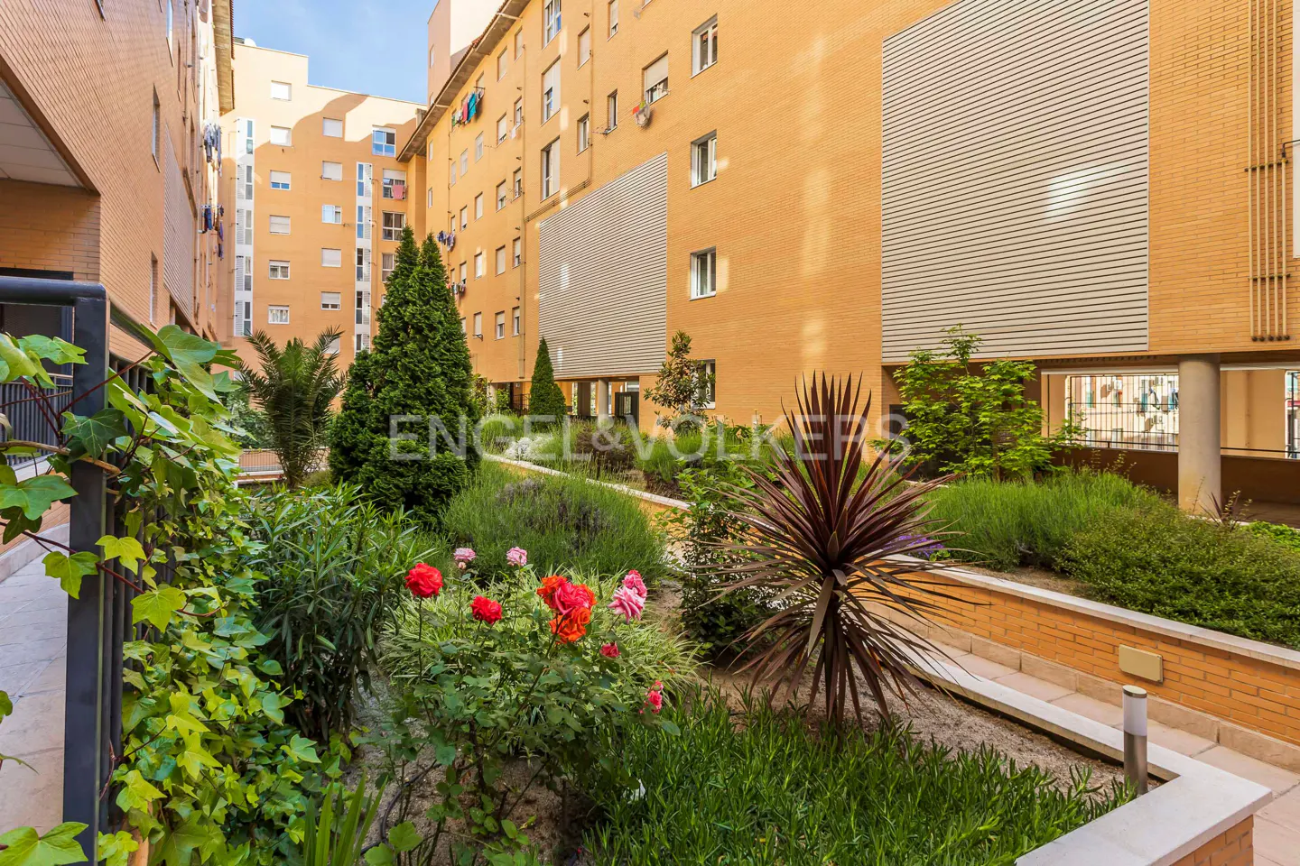 Courtyard garden with red roses, green plants, and trees in front of a yellow brick apartment building.