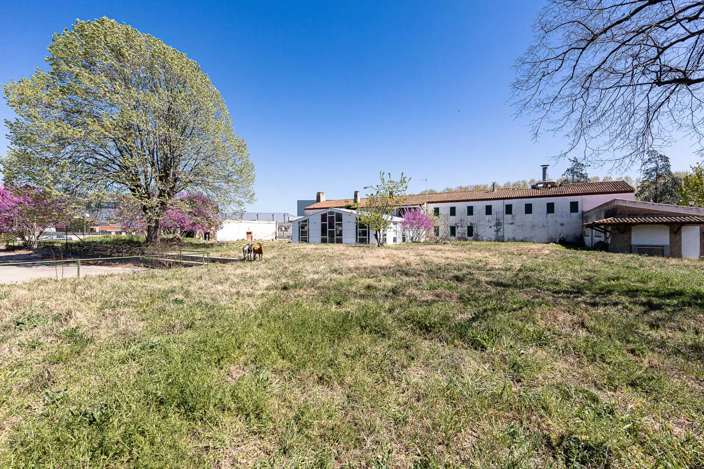 Exterior view of a white building with a red tile roof, surrounded by a grassy field and trees under a blue sky.