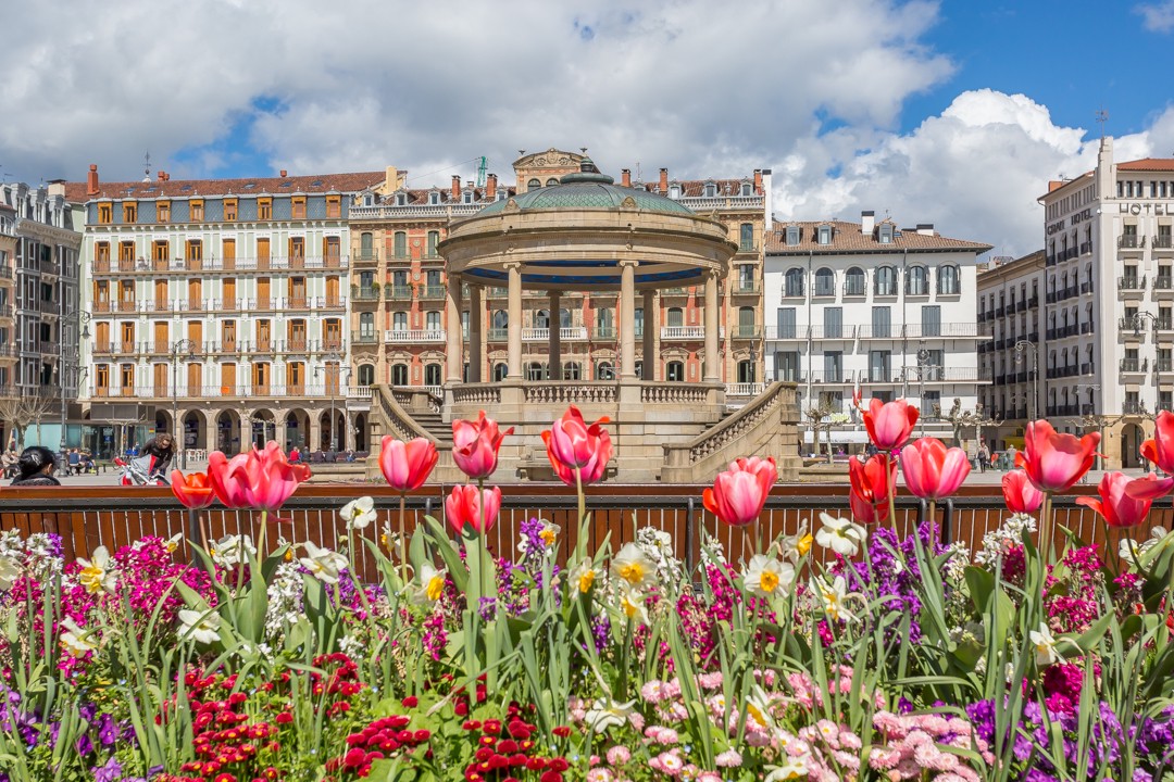 Luxury Flat in Plaza del Castillo