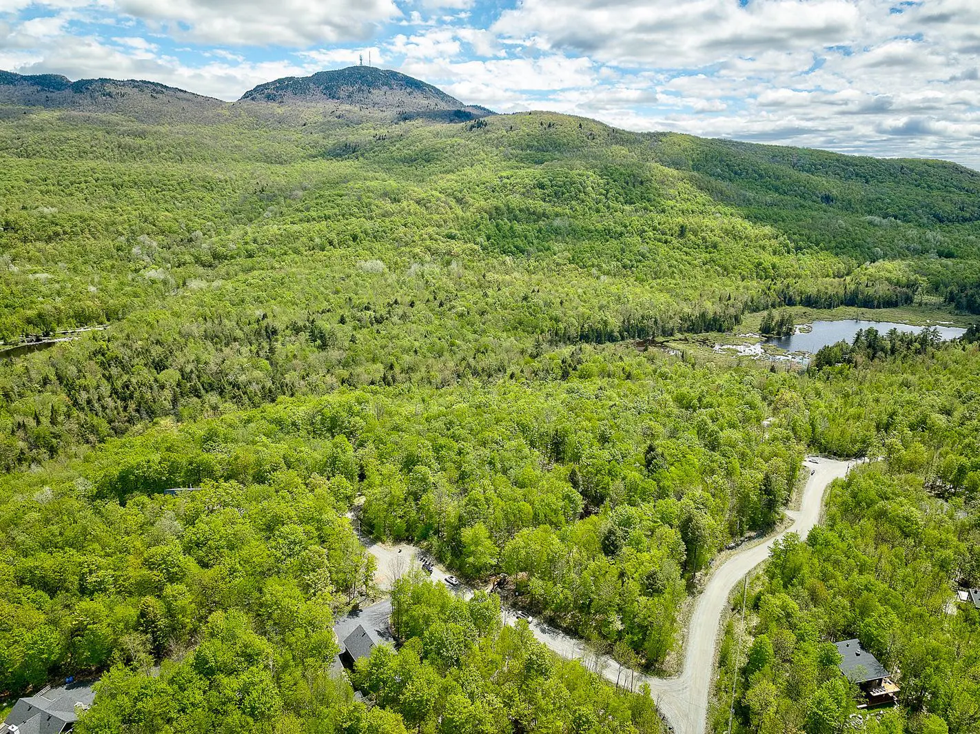 Aerial view of a lush green forest with a mountain in the background under a cloudy sky. A dirt road winds through the trees.